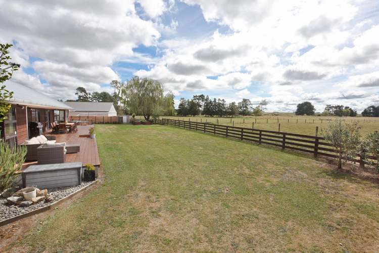 455b State Highway 1 Bulls_24