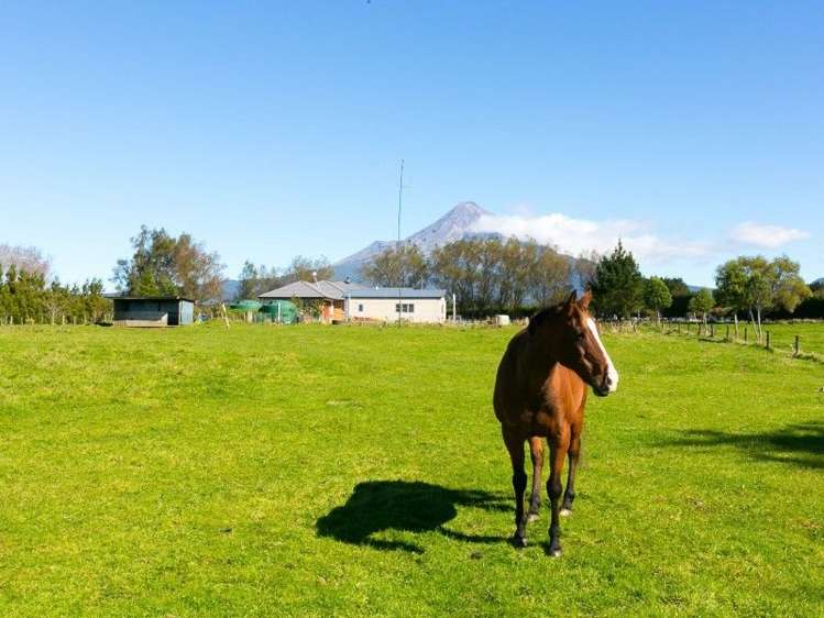 585 Bedford Road North Norfolk_5