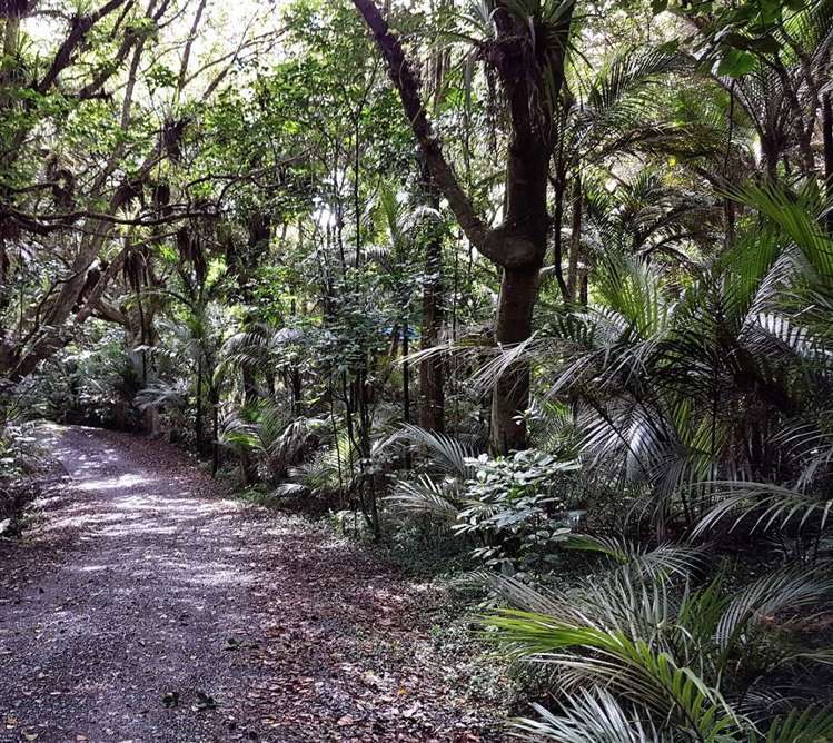 400 Ponga Road Opaheke_26