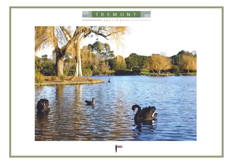 218/4 Wagener Place Mt Albert_20