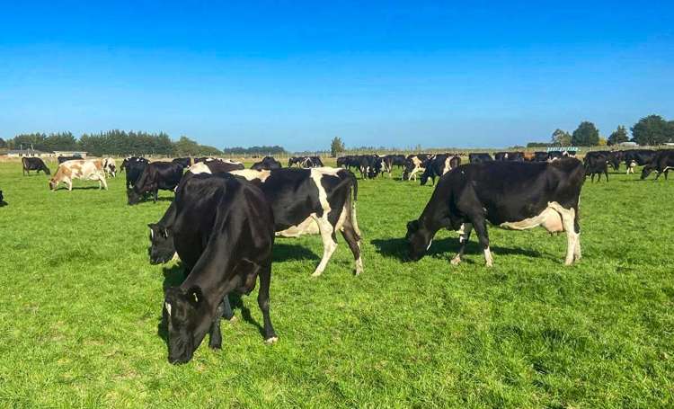 91 King Road Waianiwa_1