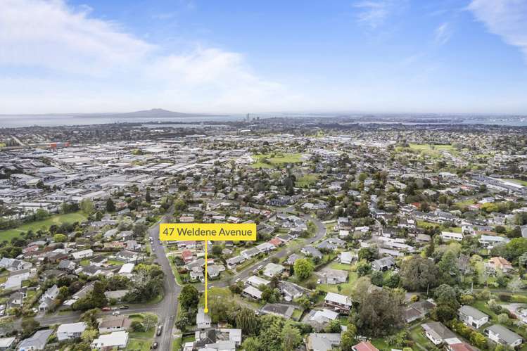 47 Weldene Avenue Glenfield_16