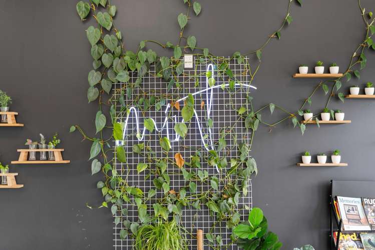 Address withheld Bulls_1