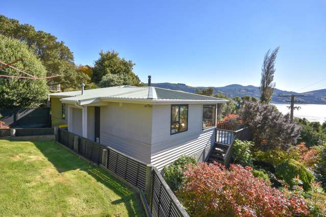 13 Hellyer Street Macandrew Bay_1