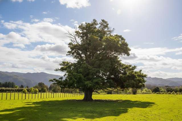 284 Woodside Road Greytown_3