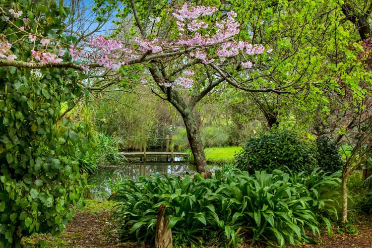 7 Richmond Road Waitara_0