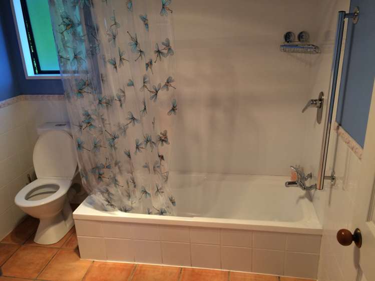 1119 Scenic Drive Swanson_12