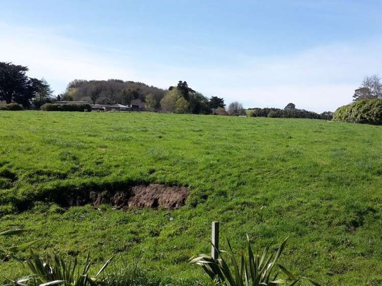 346 Rugby Road Tariki_86