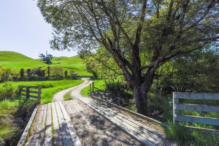 915 Thorpe-Orinoco Road, Dovedale Ngatimoti_45