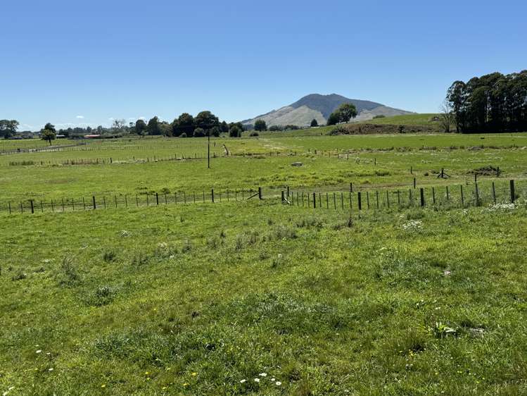 28 Cannon Road Otorohanga_11