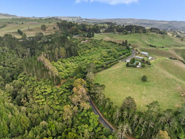 20 McLaren Falls Road Lower Kaimai_19