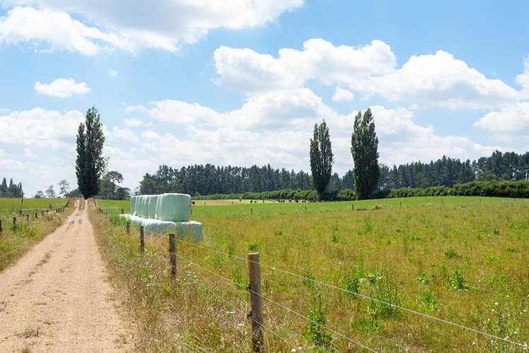 609 Okoroire-Te Poi Road Hauraki Surrounds_13