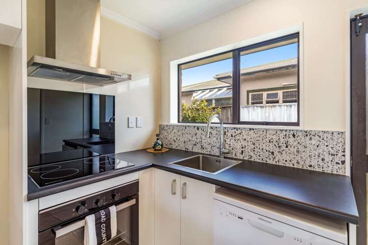 24a Rangitira Avenue Palmerston North Central_1