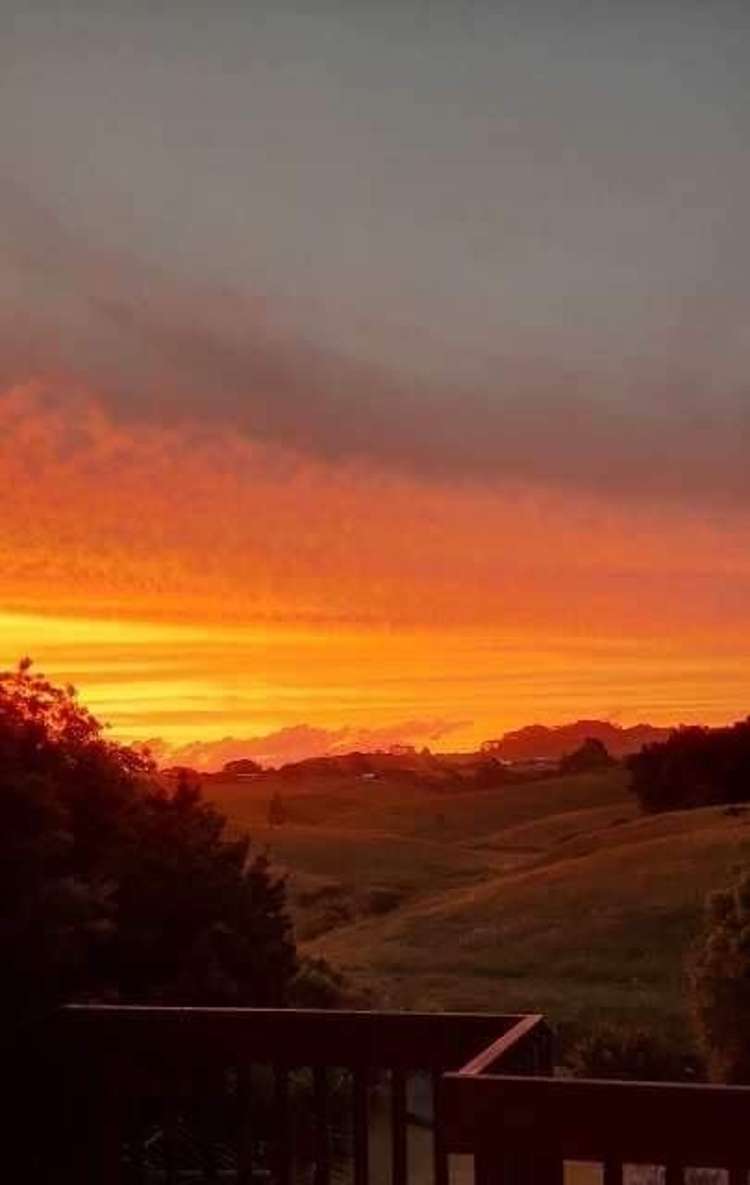 24b George Crescent Buckland_15