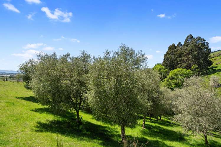 231 Aniseed Valley Road Hope_40