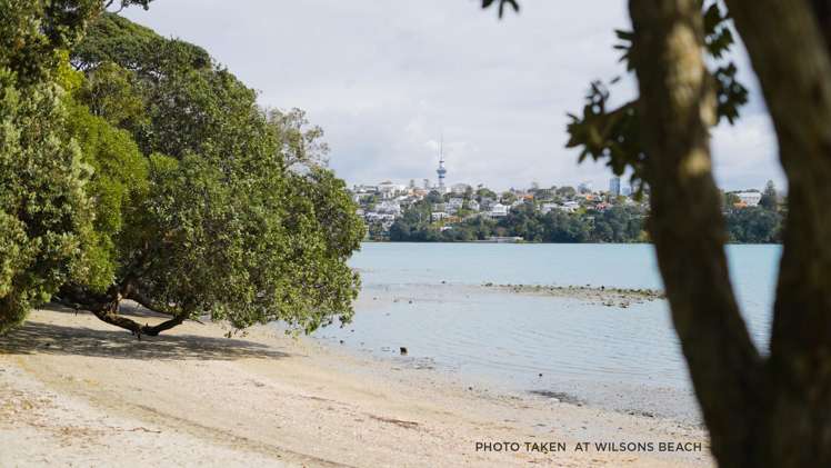 279 Victoria Avenue Remuera_6