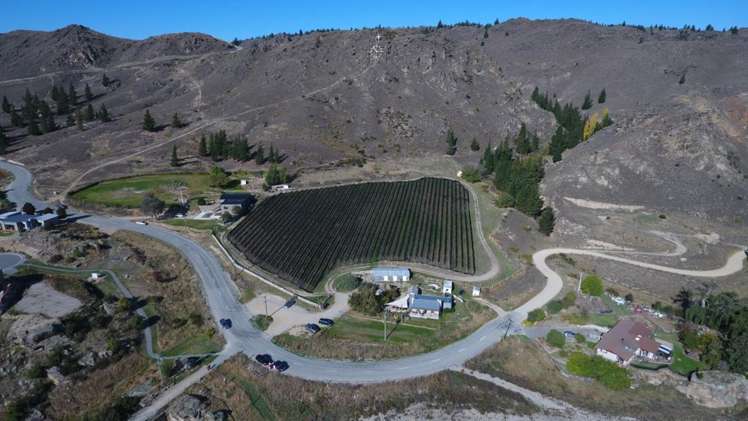 65 Graveyard Gully Road Alexandra_20