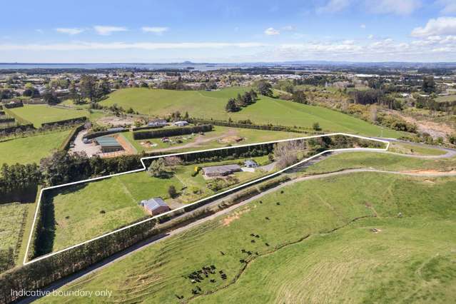 72 Busby Road Katikati_3
