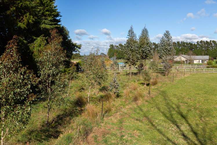 Governors Green Drive Greytown_9