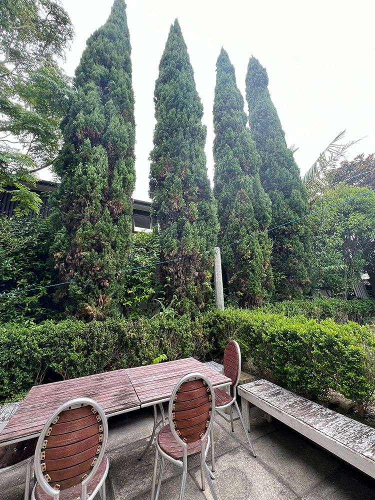 91 Penzance Road Mairangi Bay_13