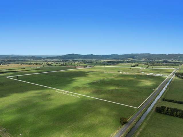 379B Powdrell Road Awakeri_3