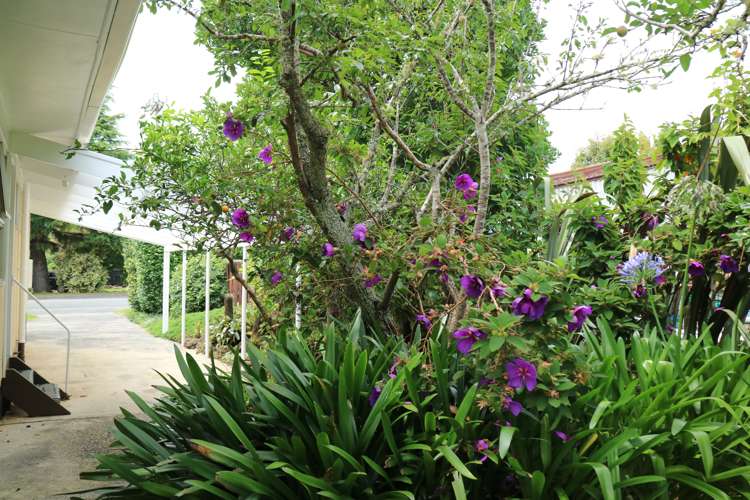 4 Hone Heke Road Kerikeri_7