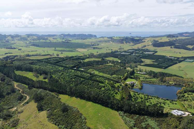 121C Purangi Road Whenuakite_7