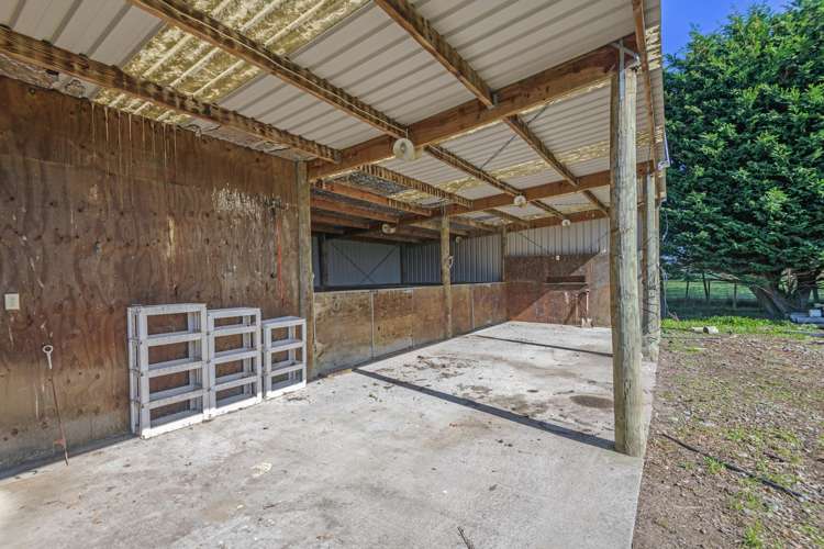 59 Mahua Road Feilding_6