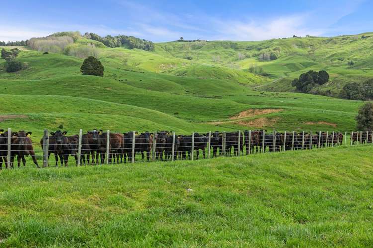 895 Wairamarama Onewhero Road Onewhero_5