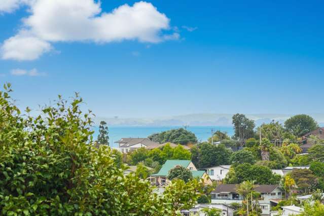 1/32 Arran Road Browns Bay_3