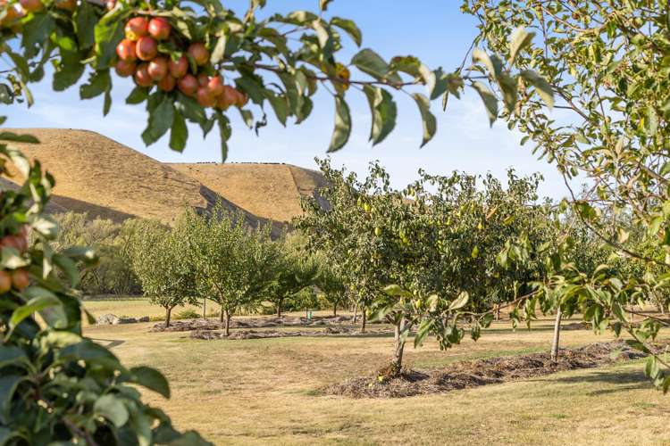 333 Ardgour Road Tarras_32