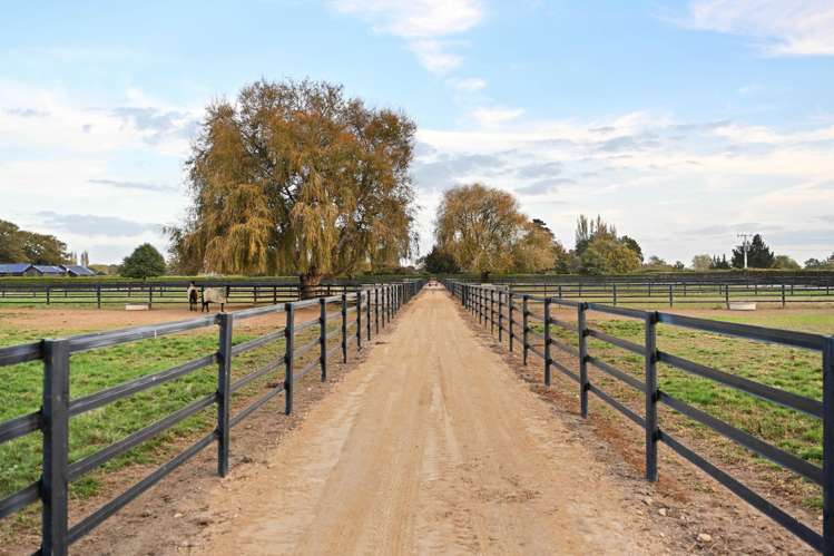 505 Bruntwood Road Tamahere_47