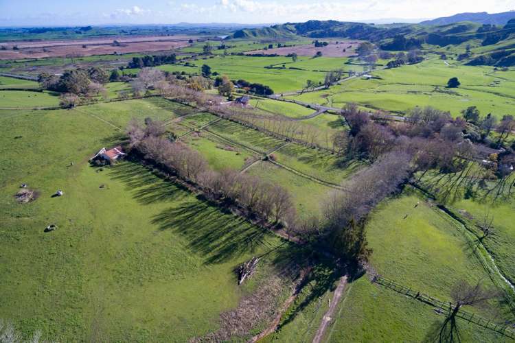 796 Waerenga Road Waerenga_15