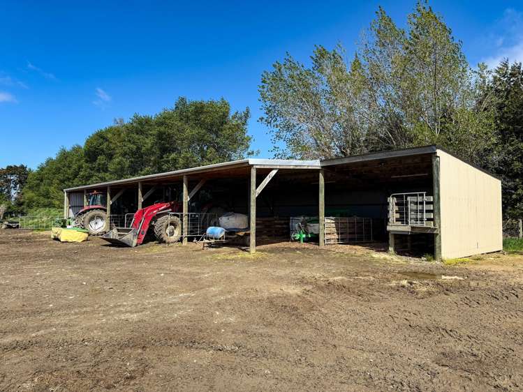 473 Clifden Gorge Road Eastern Bush_8