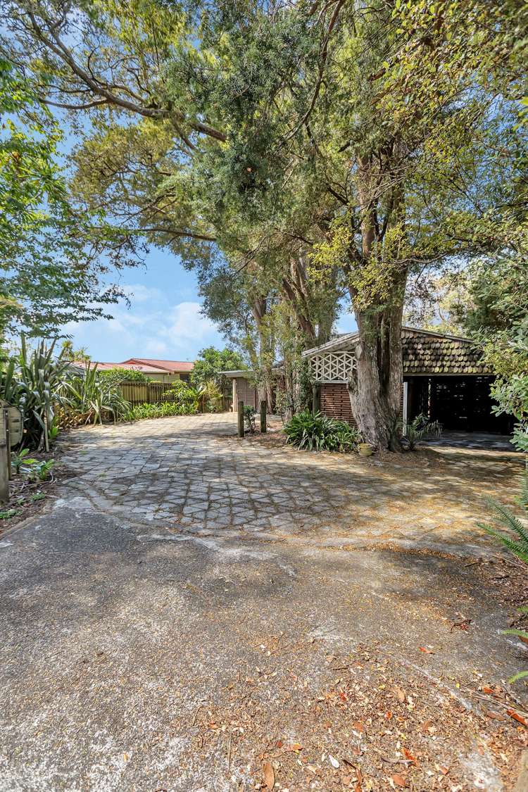 98 Paramount Parade Tikipunga_24