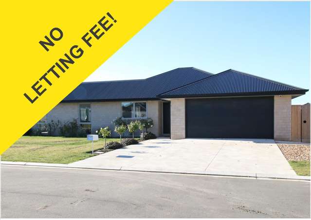 17 Bradbury Avenue Rolleston_1