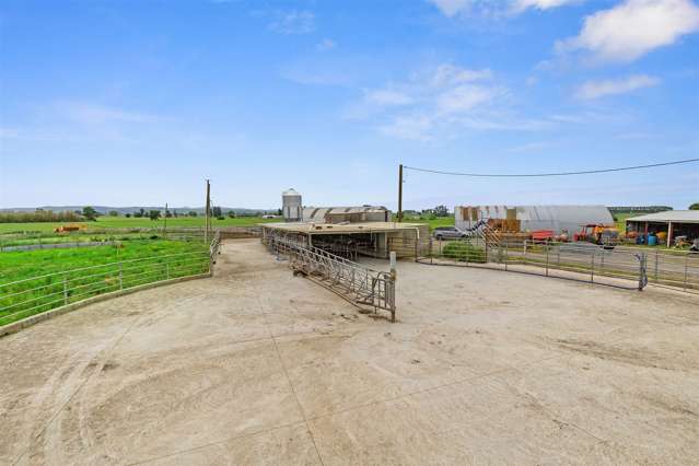 917 Piako Road Gordonton_2