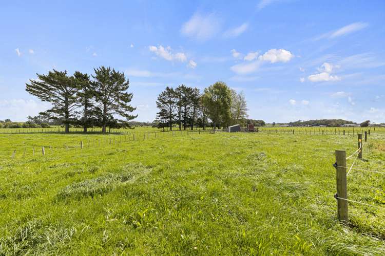 124 Lower King Road Tarurutangi_4