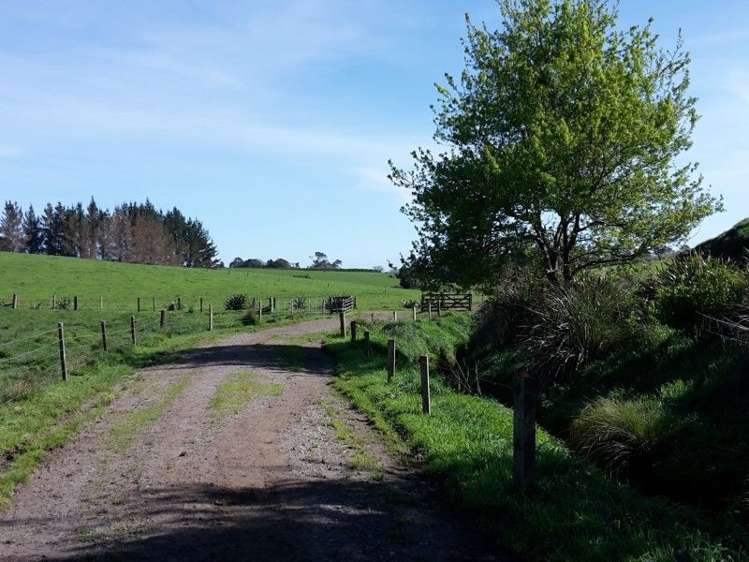 346 Rugby Road Tariki_64