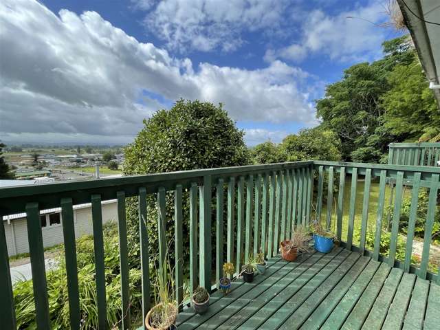 22 Ormsby Crescent Otorohanga_2