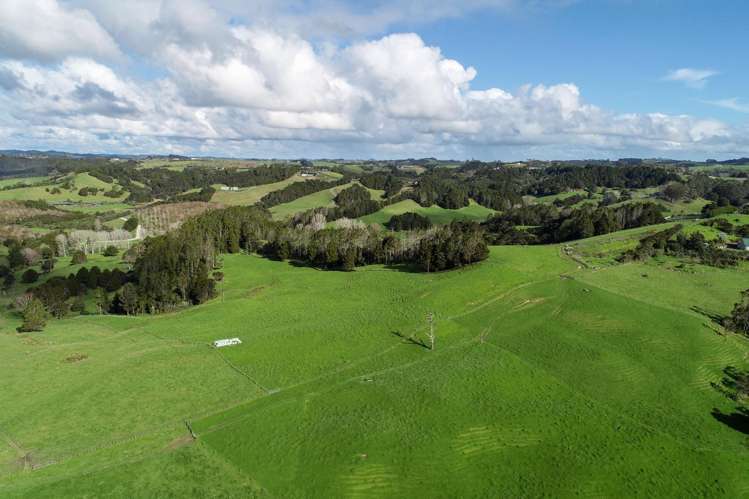 140 Te Arai Point Road Te Arai_12