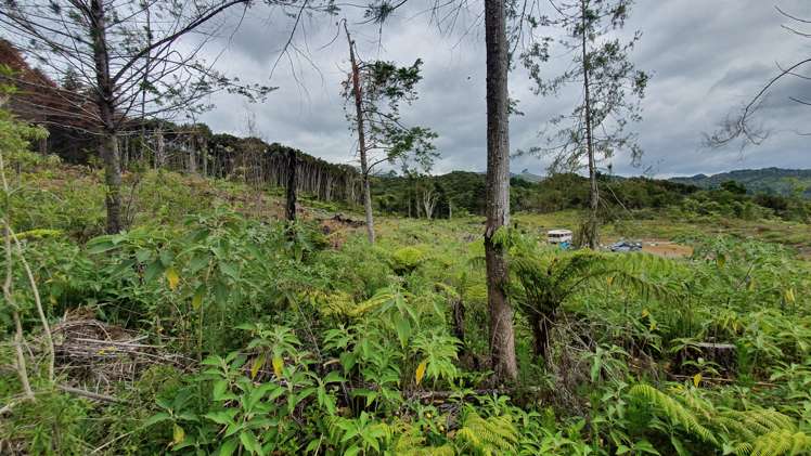 574 Honeymoon Valley Road Peria_9