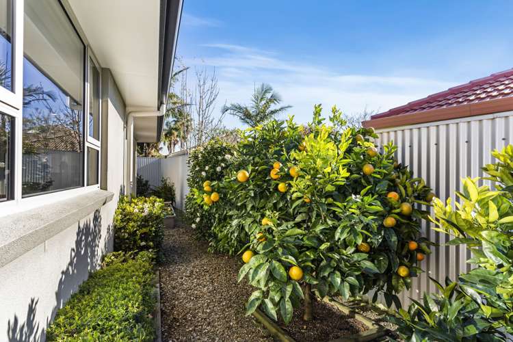 5 Montego Drive Papamoa_23