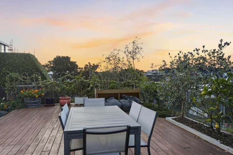 61A Vale Road St Heliers_5