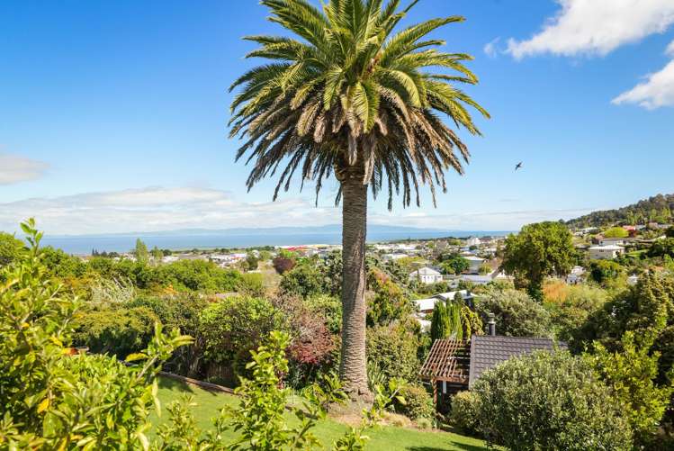 711 Mount Pleasant Road Thames_1