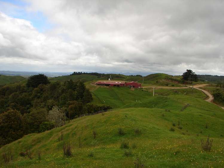 Mahoe Road Waitomo_8