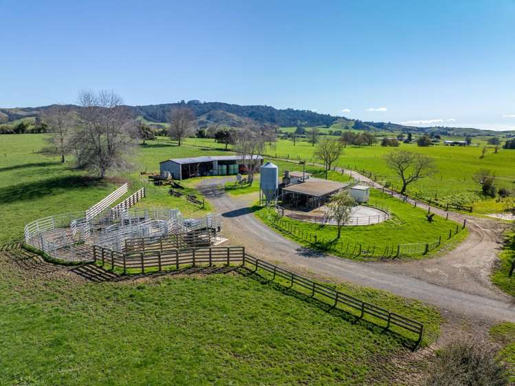 97 Herbert Road Morrinsville_5