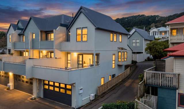 Sunny and Spacious in Mount Victoria