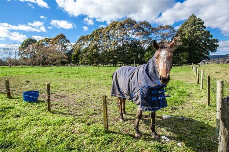 9 Butler Road Whakatane_18