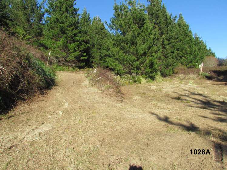 1028 A,B,C McIvor Road Rotoma_7